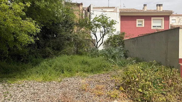 Spot image