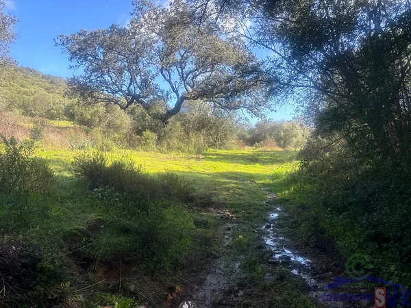 Terreno urbano de 2,03 ha en venta en Córdoba, Córdoba