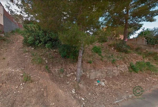 Spot image
