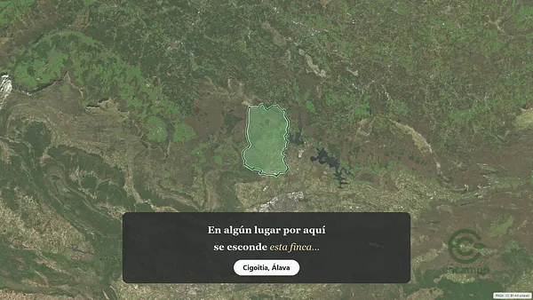 Spot image