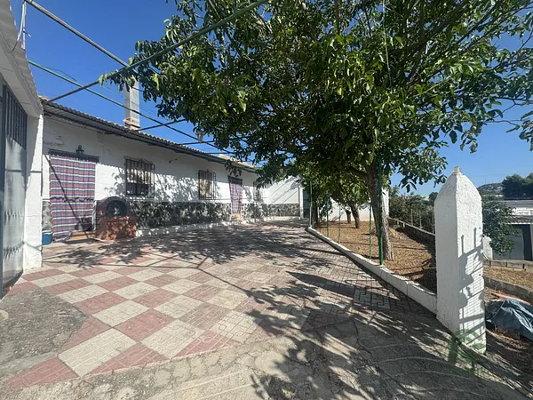 Spot image