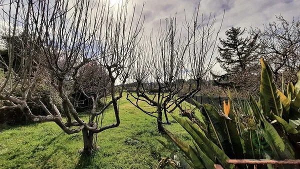 Casa de 0,28 ha en venta en Plentzia, Vizcaya