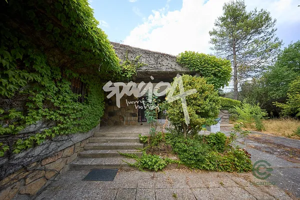 Spot image