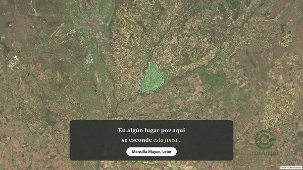 Spot image