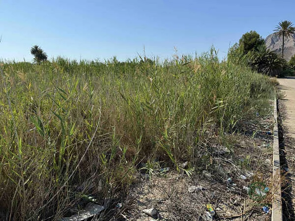 Finca rústica de 0,0844 ha en venta en Cox, Alicante