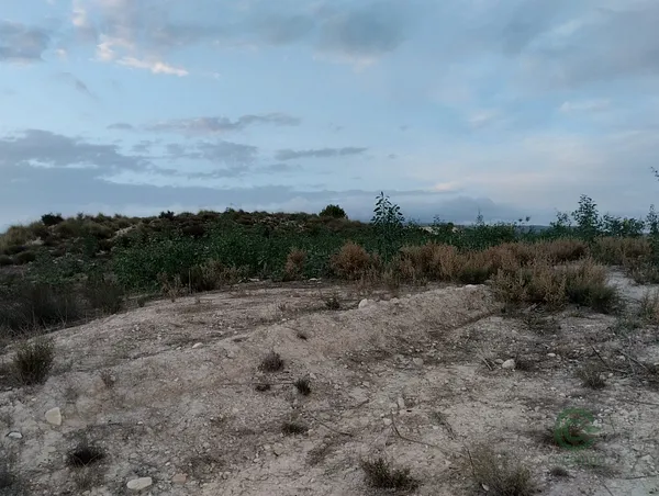 Spot image