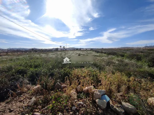 Finca agrícola de 0,6654 ha en venta en Novelda, Alicante