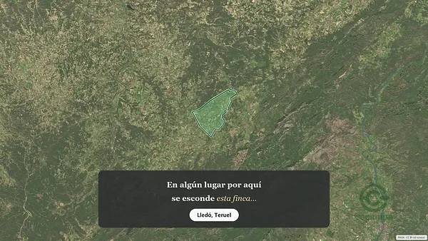 Spot image