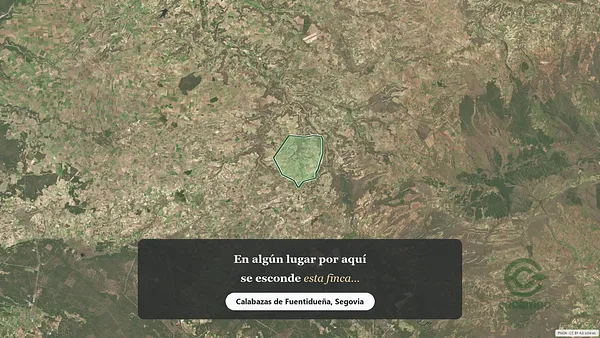 Spot image