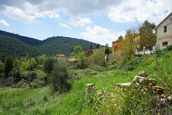 Spot image