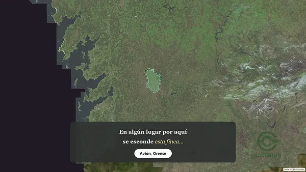 Spot image