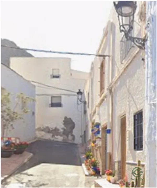Spot image