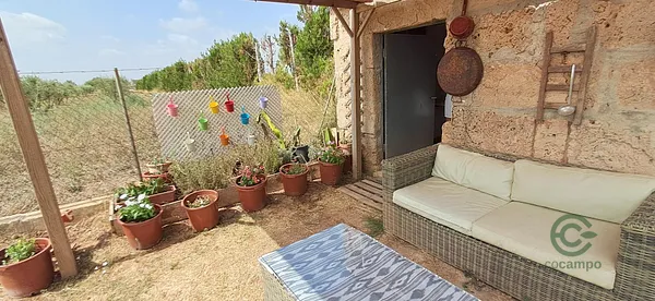 Spot image