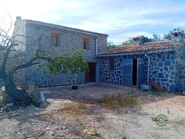 Spot image