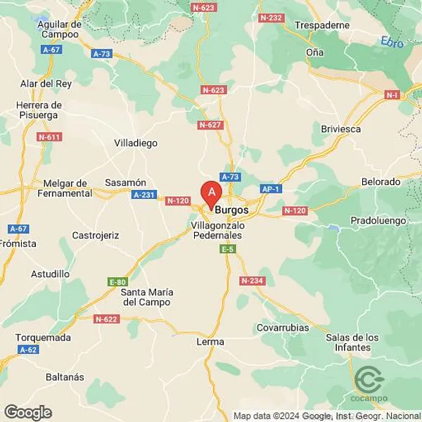 Spot image