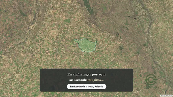 Spot image