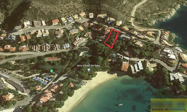 Spot image