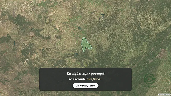 Spot image