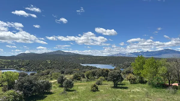 Spot image