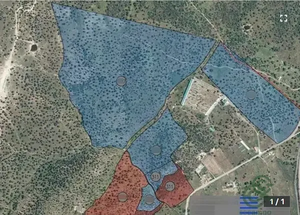Spot image