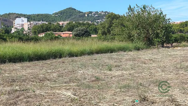 Spot image