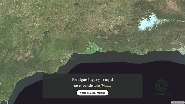 Spot image