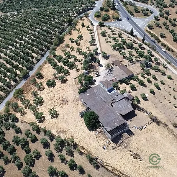 Spot image
