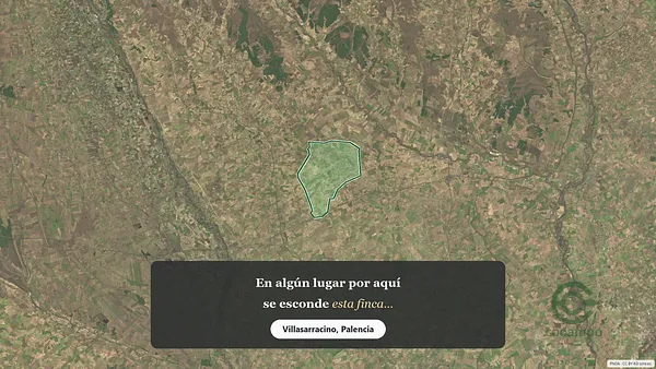 Spot image