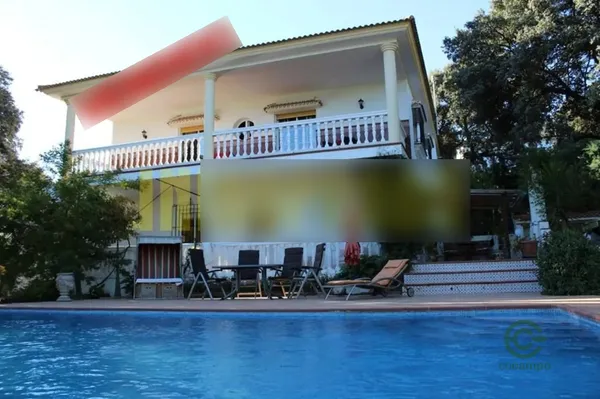 Spot image