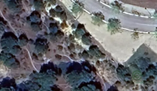 Spot image