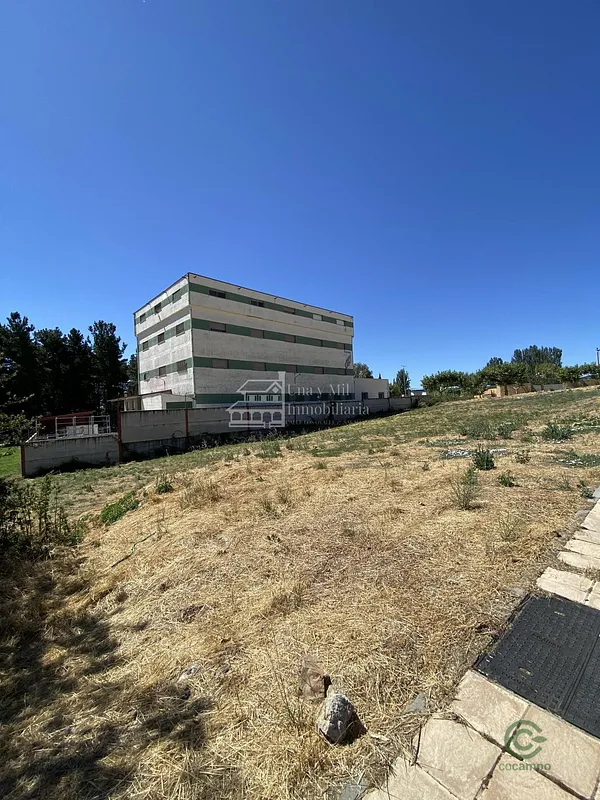 Spot image