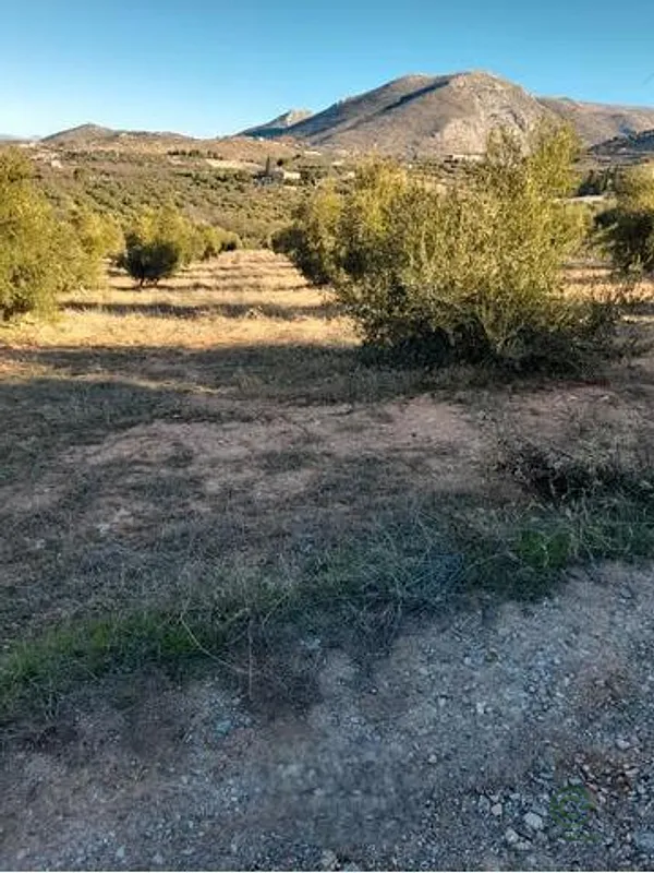 Spot image