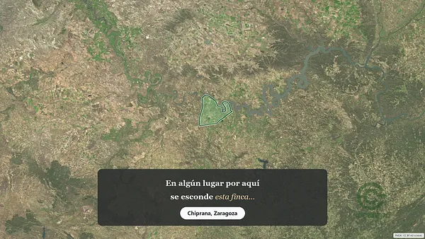 Spot image