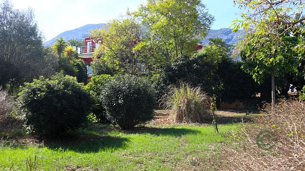 Spot image