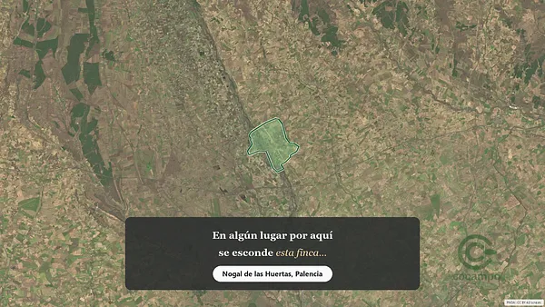 Spot image