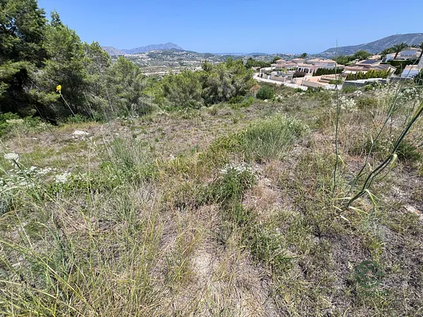 Spot image