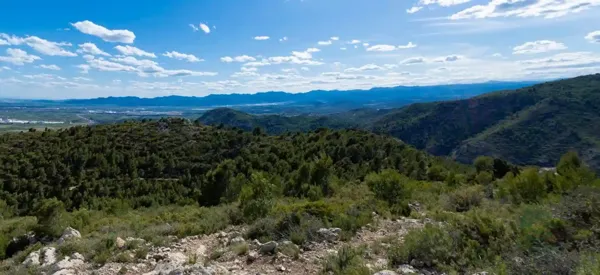 Finca rústica de 87,9093 ha en venta en Borriol, Castellon