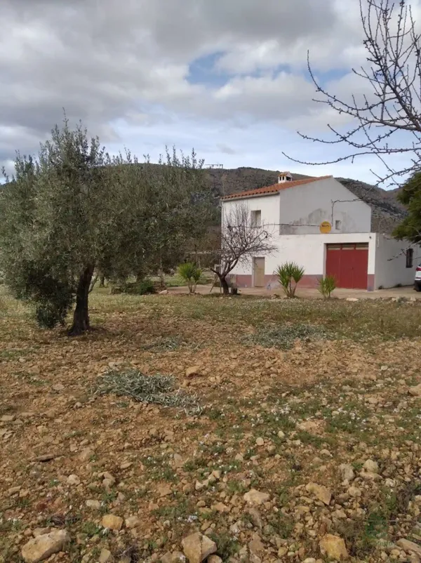 Spot image