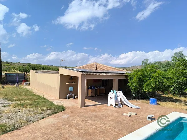 Spot image