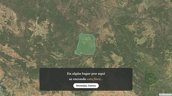 Spot image