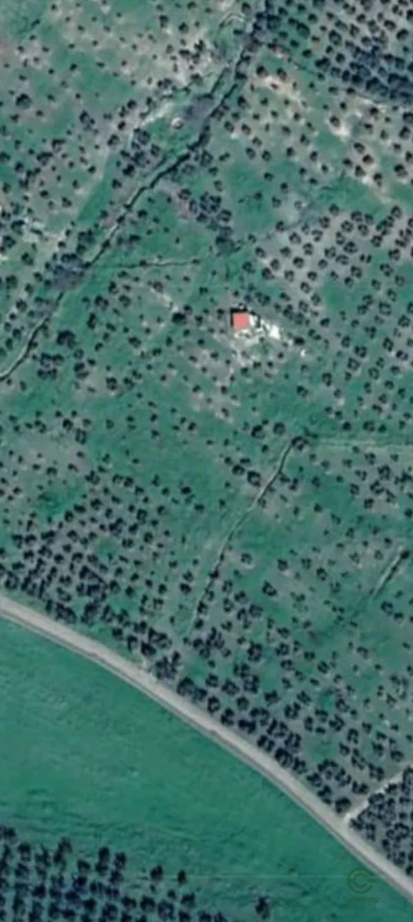 Spot image