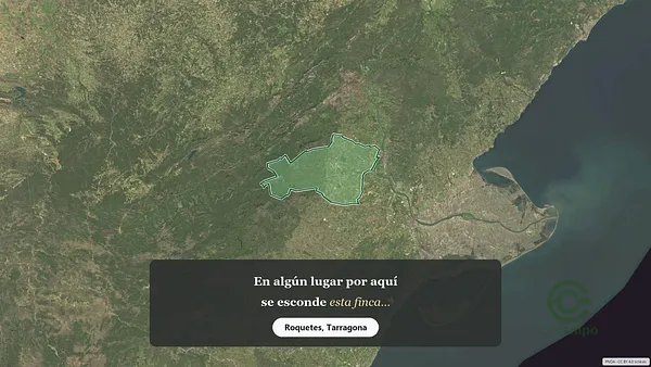Spot image