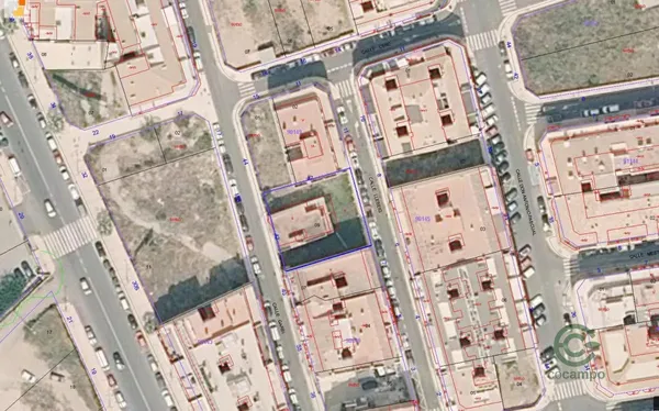 Spot image