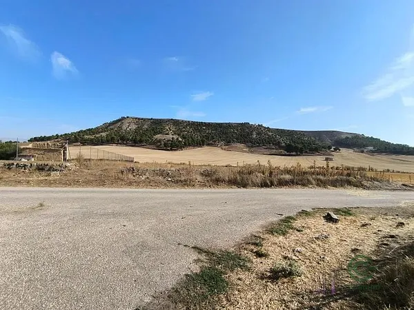 Spot image