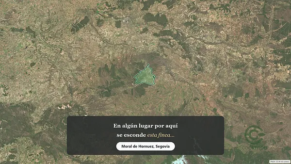 Spot image