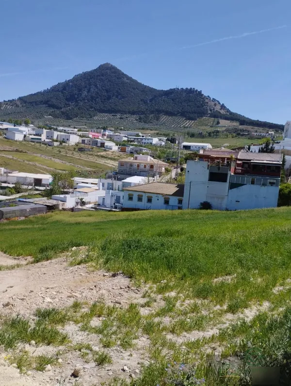 Spot image