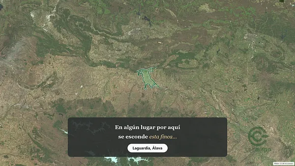 Spot image