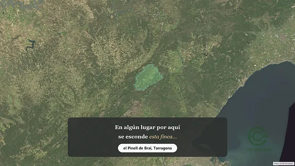 Spot image