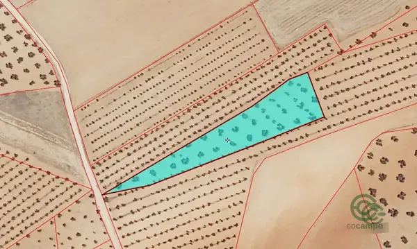 Spot image