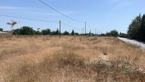 Spot image